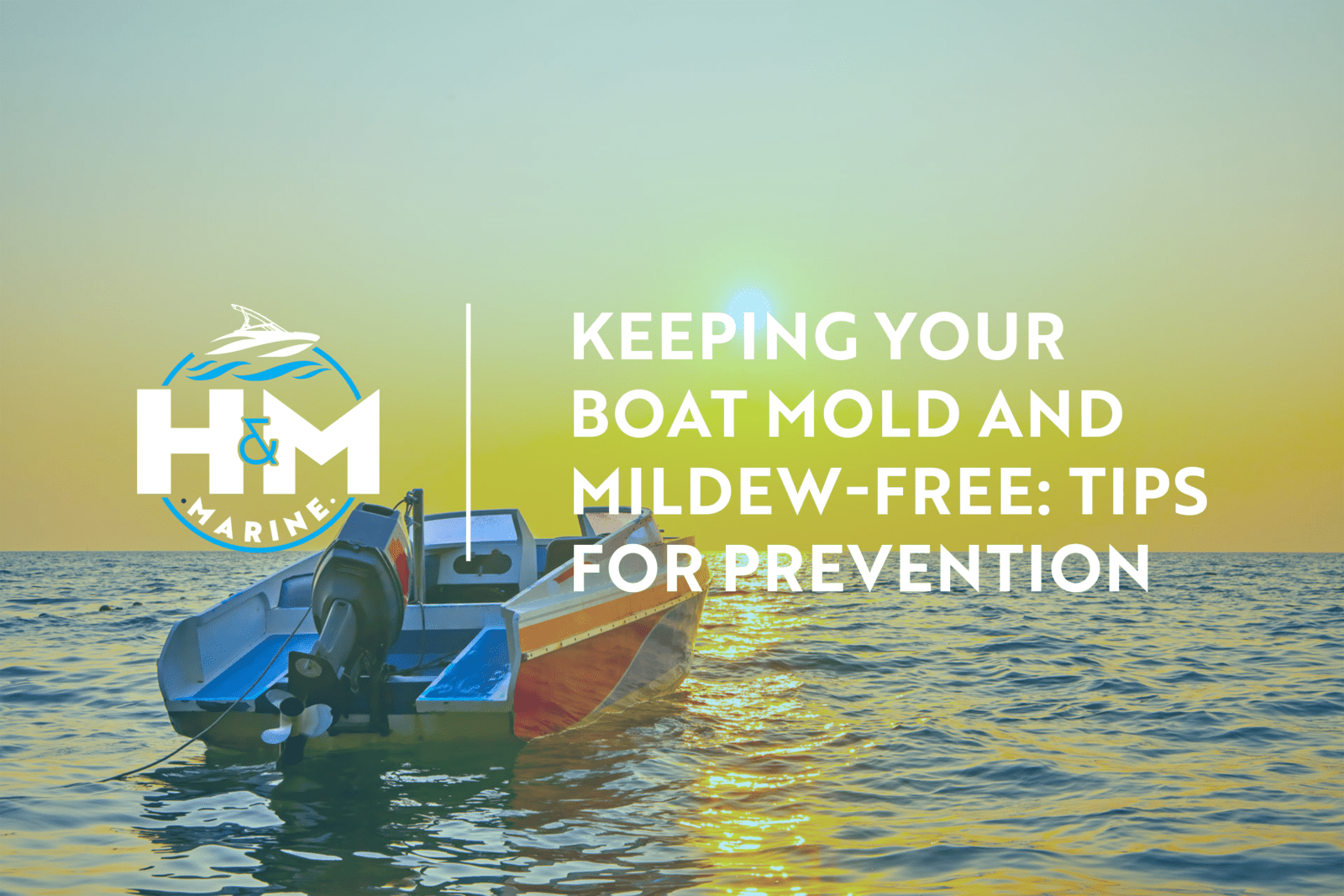 Keeping Your Boat Mold and Mildew-Free: Tips for Prevention